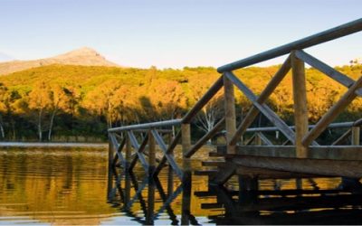 Nueva Andalucía- El distrito más grande de Marbella